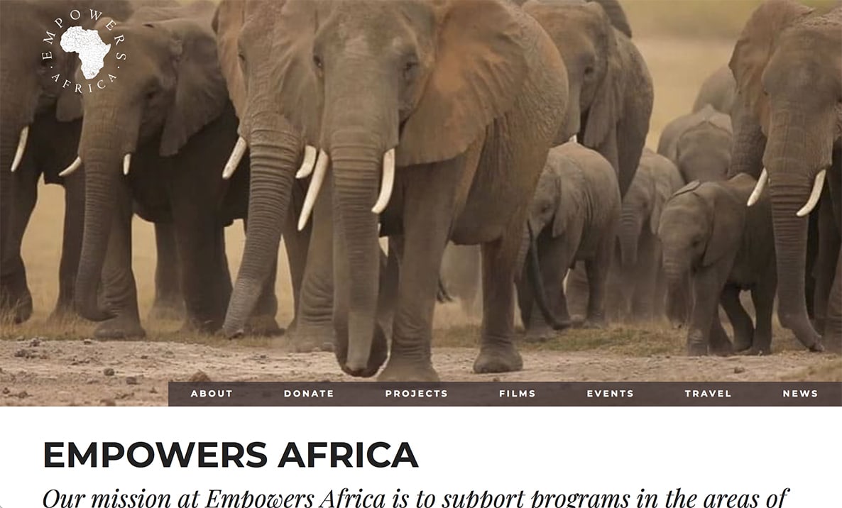 Website for Empowers Africa (desktop view)